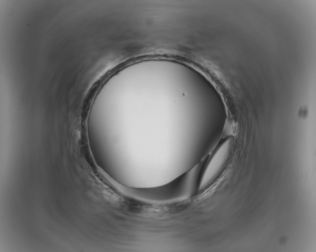 X0000097921165200803141434