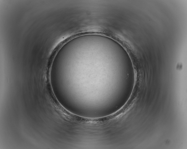 X0000097921166200803141434