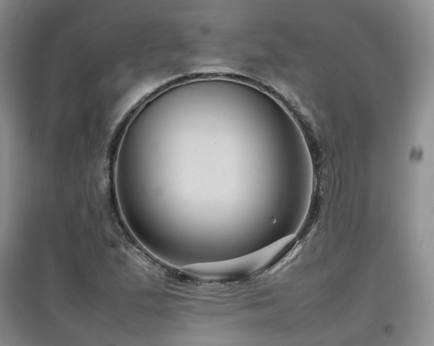 X0000097921167200803141434