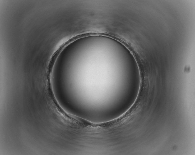 X0000097921168200803141434
