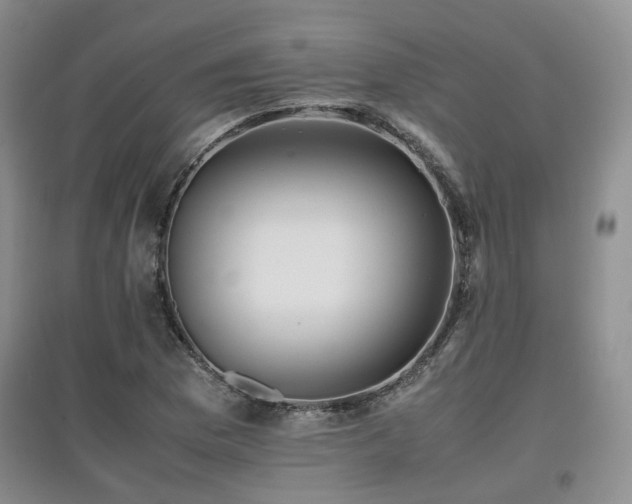 X0000097921169200803141434