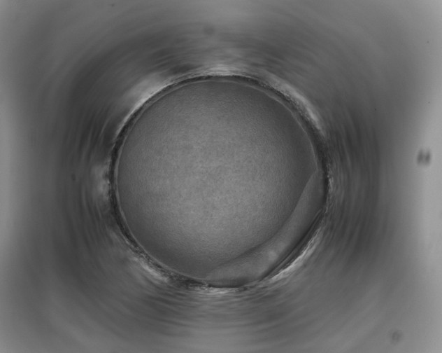 X0000097921170200803141434