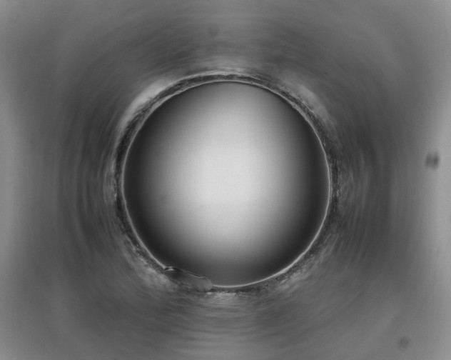 X0000097921172200803141434