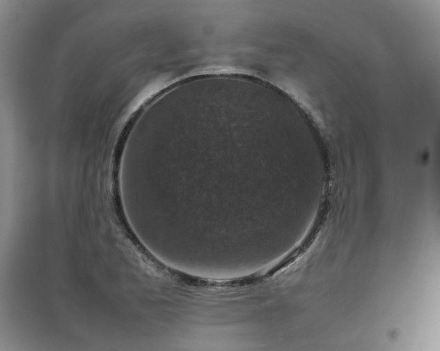 X0000097921173200803141434