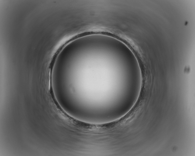 X0000097921175200803141434