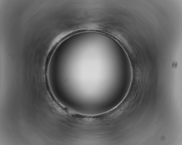 X0000097921176200803141434