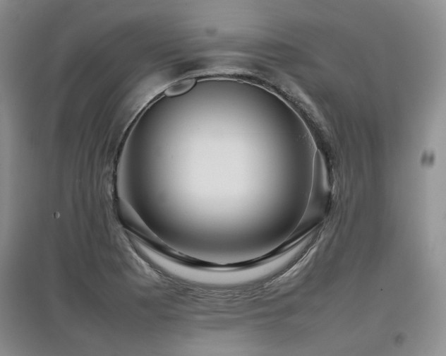 X0000097921177200803141434