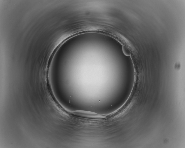 X0000097921178200803141434