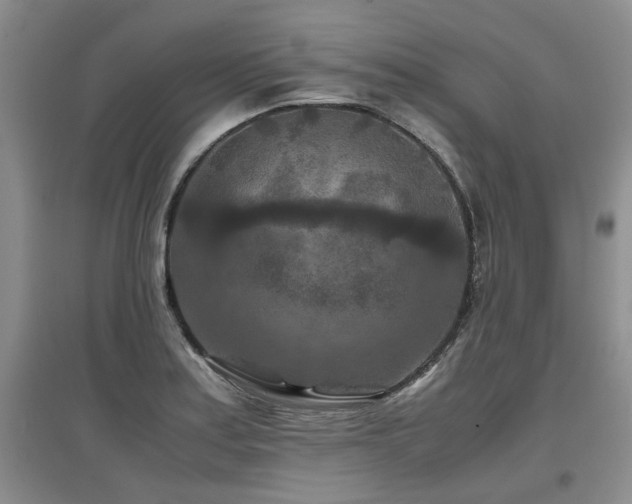 X0000097921179200803141434