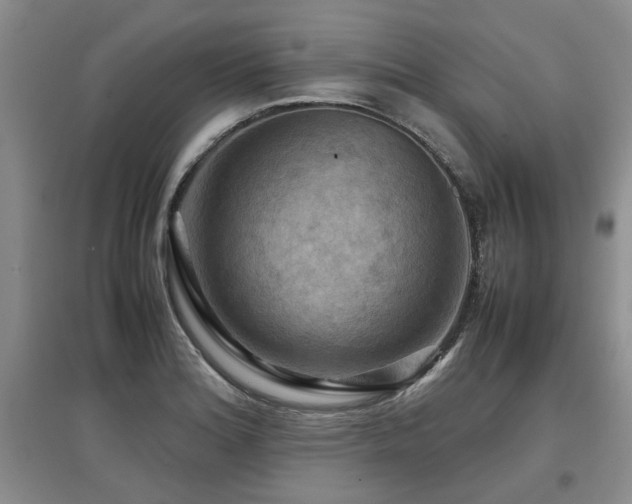 X0000097921180200803141434