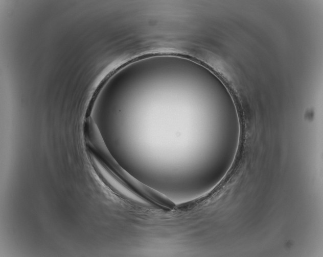 X0000097921181200803141434