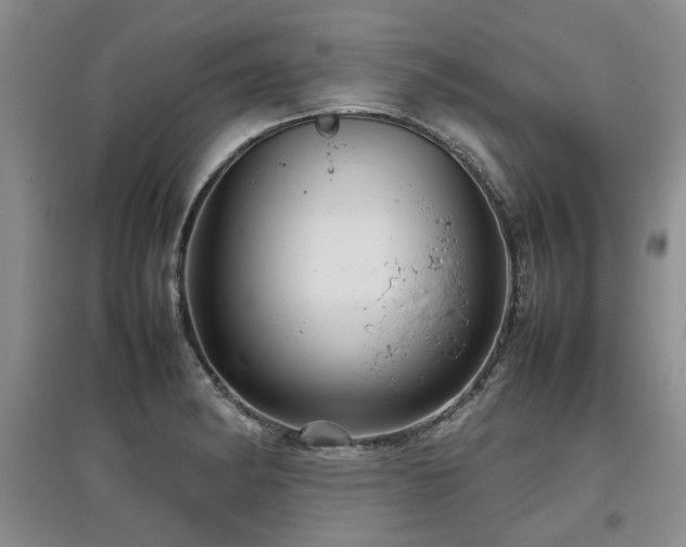 X0000097921182200803141434