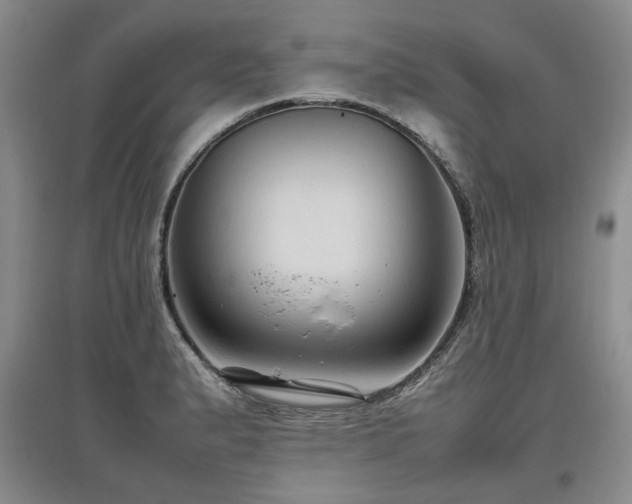 X0000097921183200803141434
