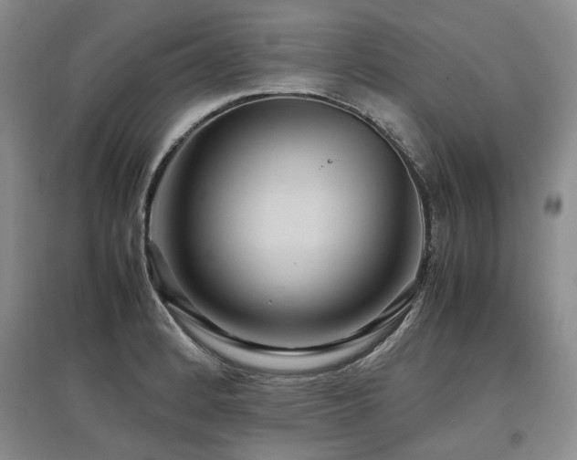 X0000097921184200803141434