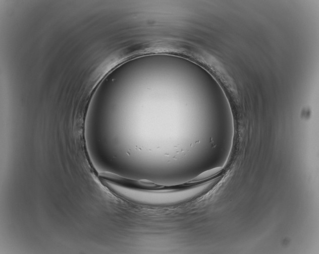X0000097921185200803141434