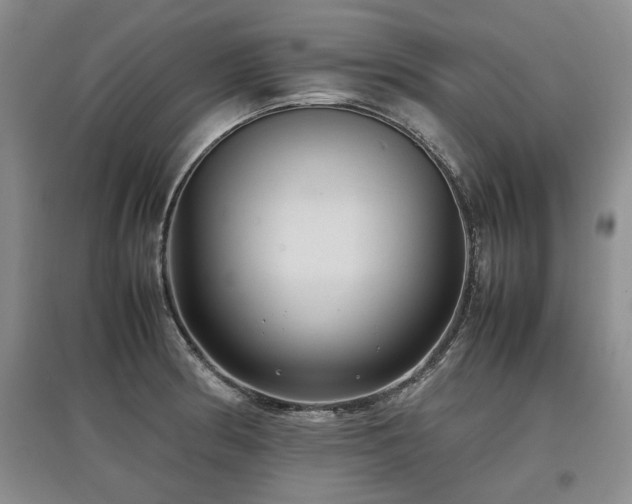 X0000097921186200803141434
