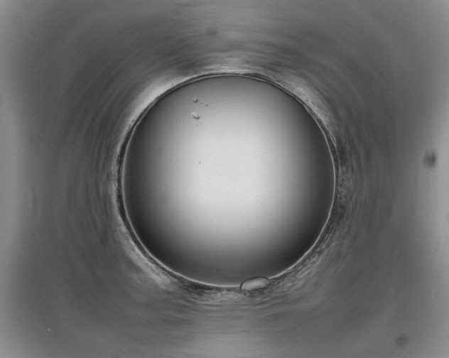 X0000097921187200803141434
