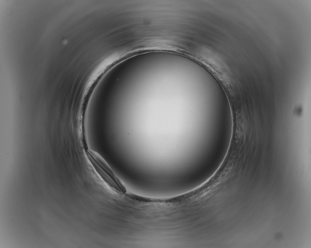 X0000097921188200803141434