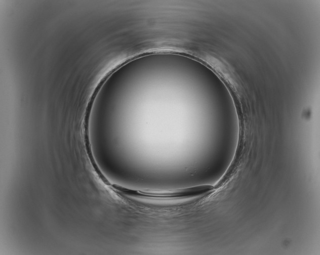 X0000097921189200803141434