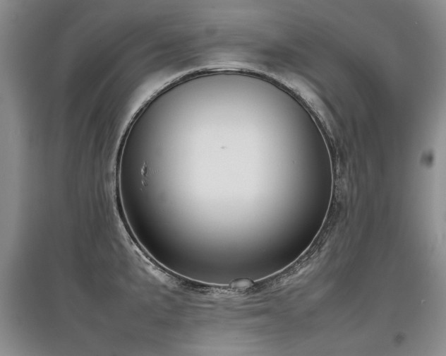X0000097921191200803141433