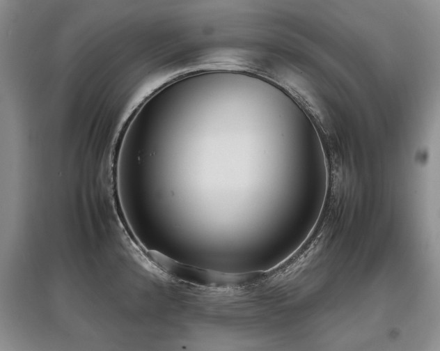 X0000097921192200803141433