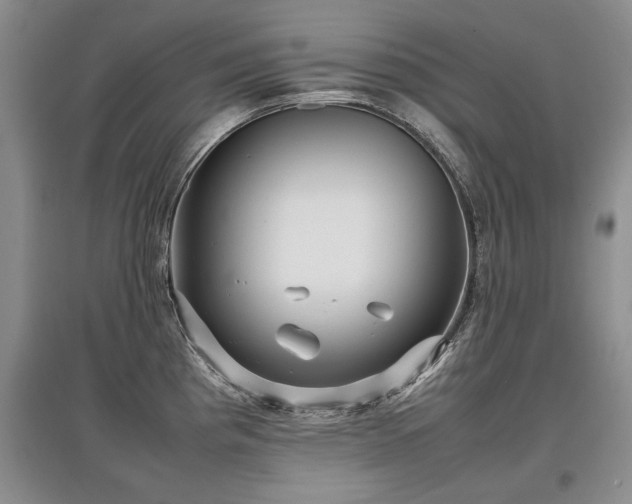 X0000097921193200803141433
