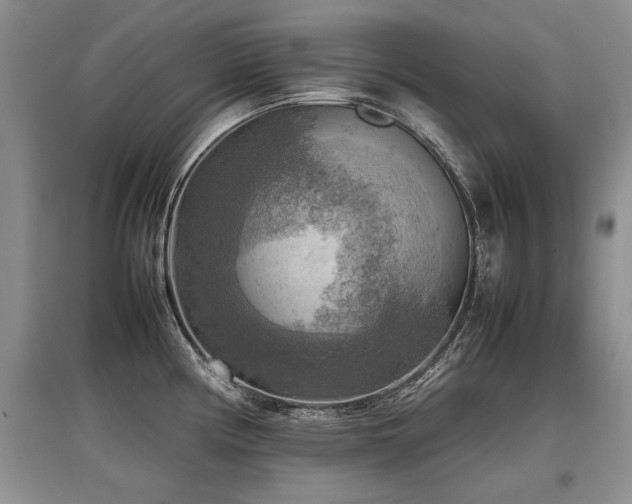 X0000097921194200803141433