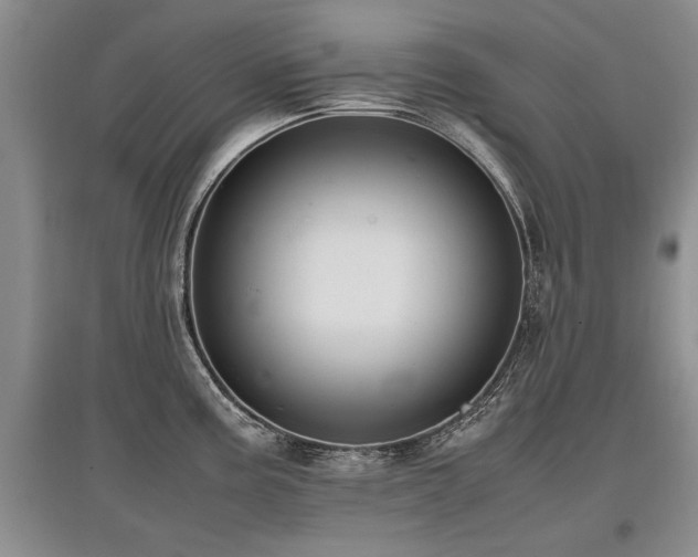 X0000097921195200803141433