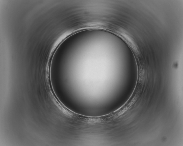 X0000097921196200803141433