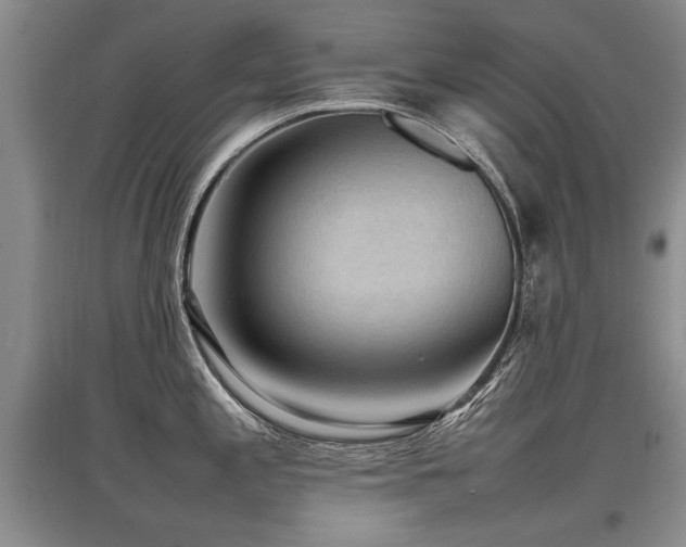 X0000097921197200803141433