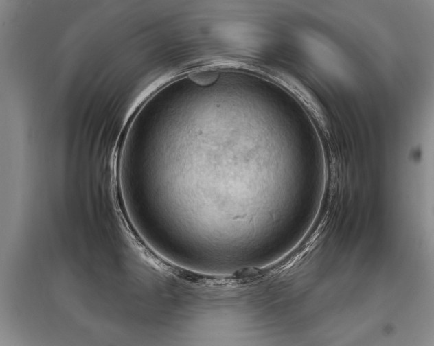 X0000097921198200803141433