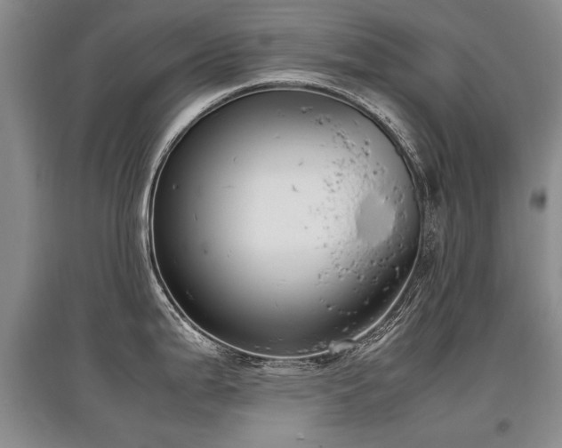 X0000097921199200803141433