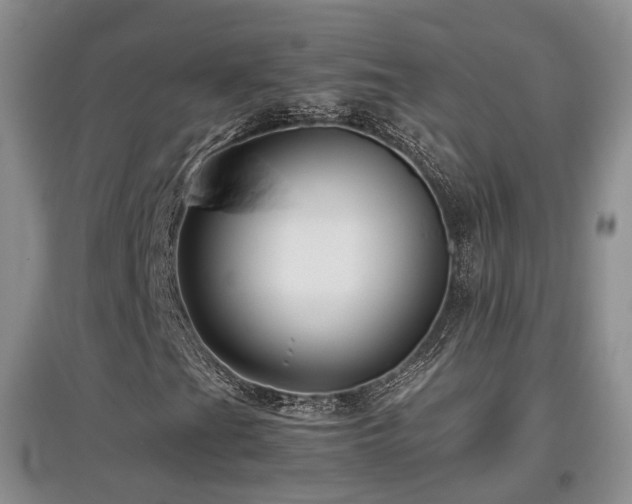 X0000097921201200803141433