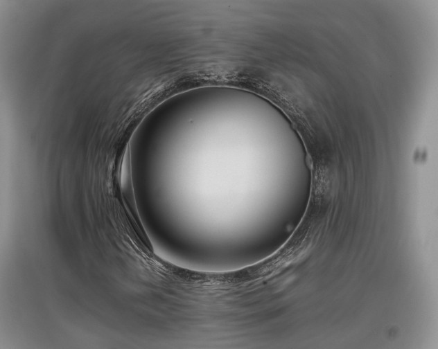 X0000097921202200803141433