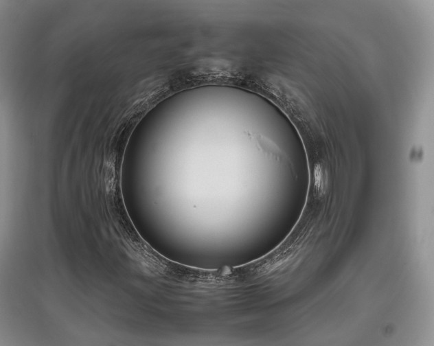 X0000097921203200803141433