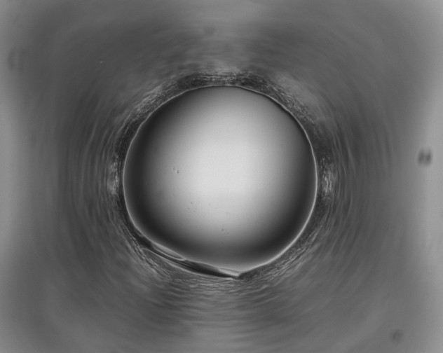 X0000097921204200803141433