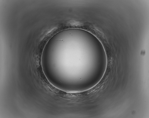 X0000097921205200803141433