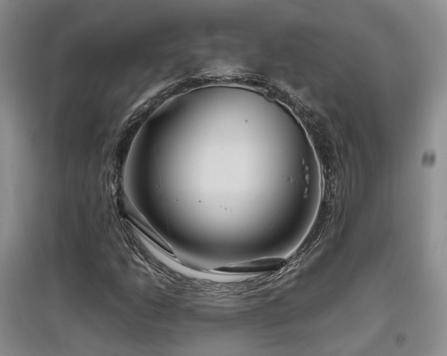 X0000097921206200803141433