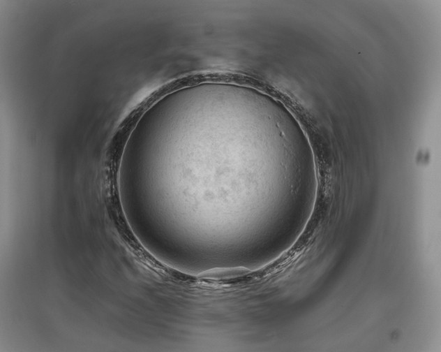 X0000097921208200803141433