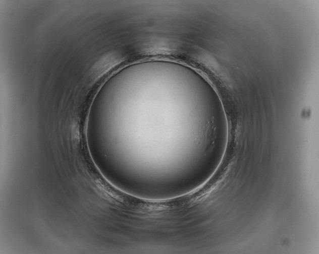 X0000097921209200803141433