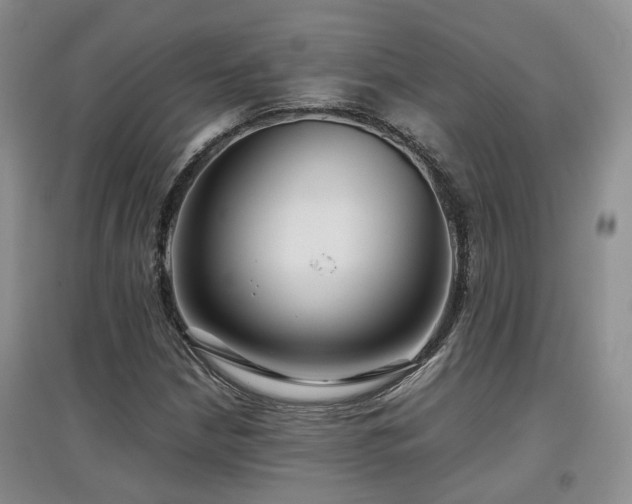 X0000097921210200803141433