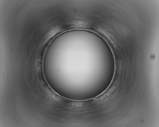 X0000097921211200803141433