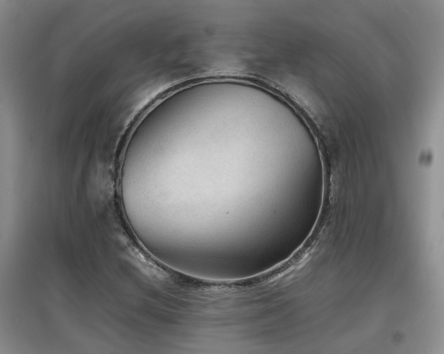 X0000097921212200803141433