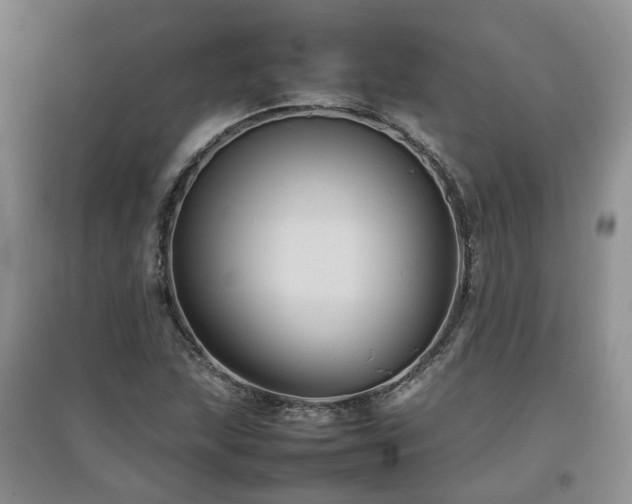 X0000097921215200803141433