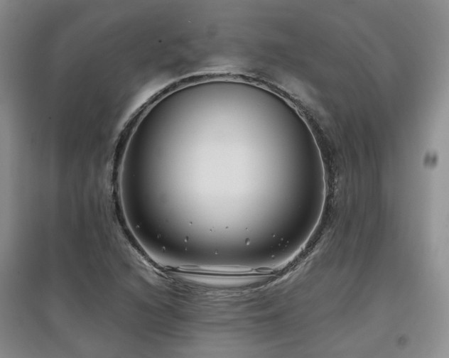 X0000097921216200803141433