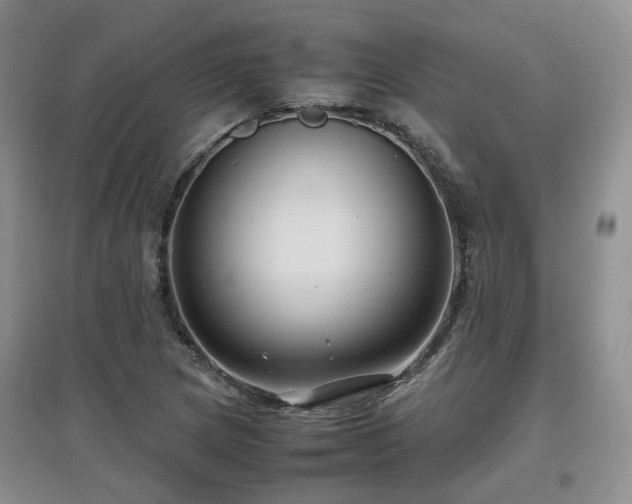 X0000097921217200803141433