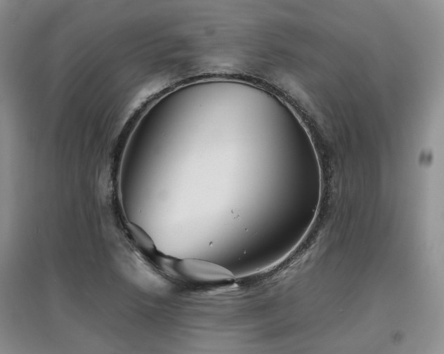 X0000097921218200803141433