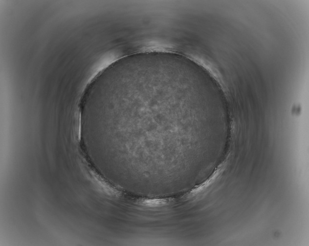 X0000097921219200803141433