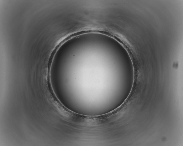 X0000097921220200803141433