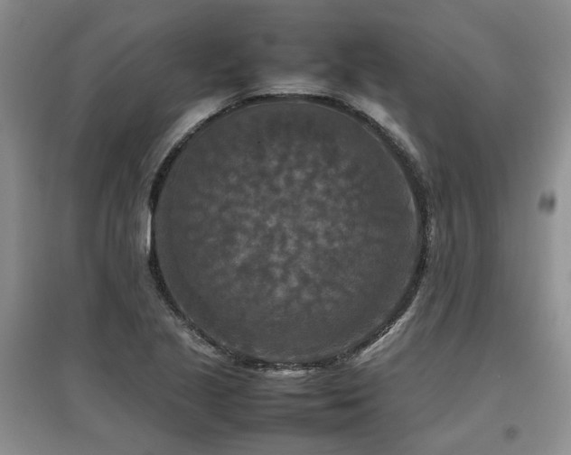 X0000097921221200803141433